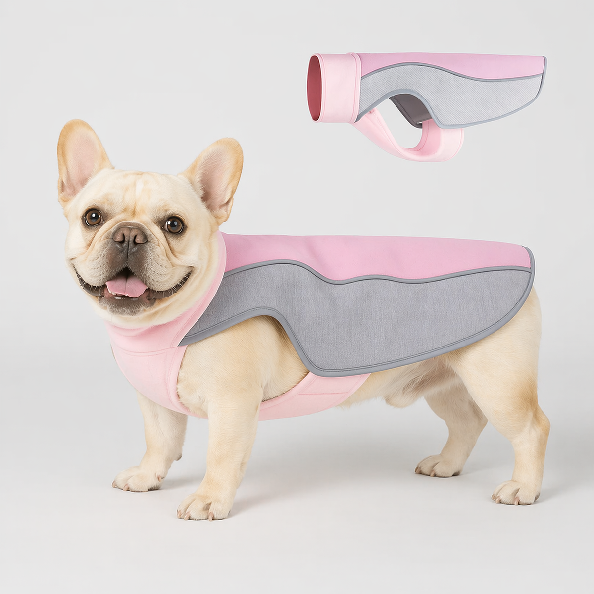 Breathable mesh Frenchie cooling vest with an adjustable buckle for a deep chest