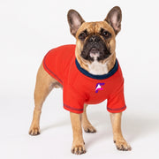 French Bulldog Summer Sweatshirt | Frenchie Lightweight Pullover