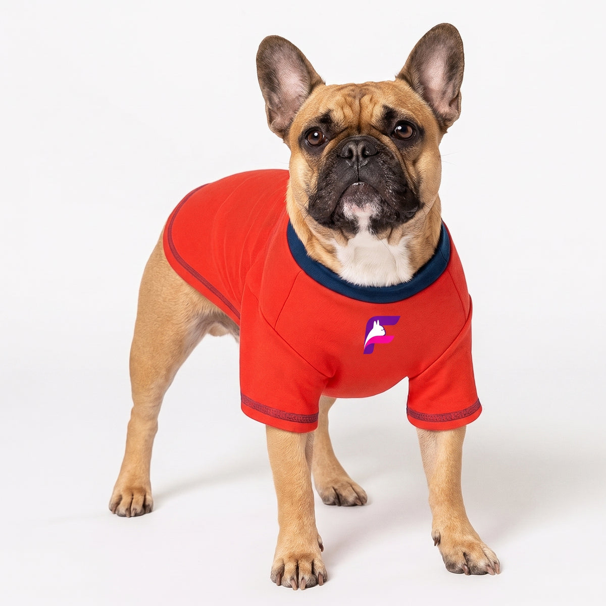 French Bulldog Summer Sweatshirt | Frenchie Lightweight Pullover