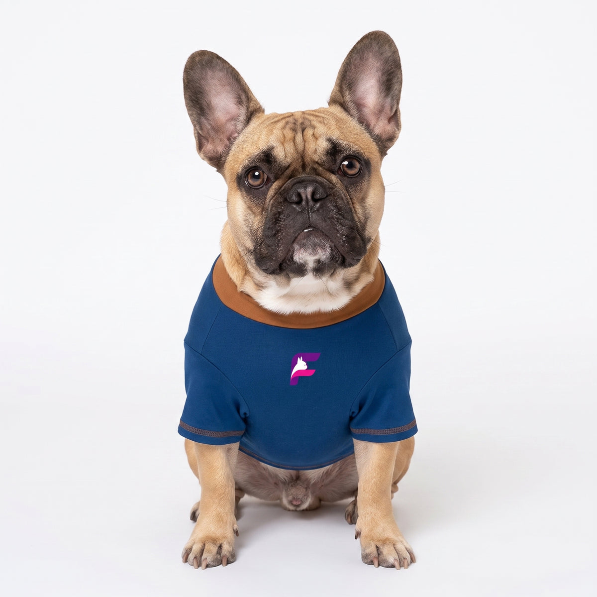 French Bulldog Summer Sweatshirt | Frenchie Lightweight Pullover