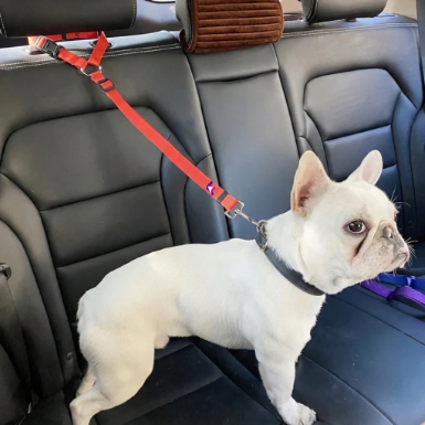 French Bulldog Universal Safety Car Seat Belt | Frenchie Travel Restraint