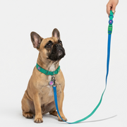 French Bulldog Waterproof Anti-Fouling Leash | Frenchie PVC Leash