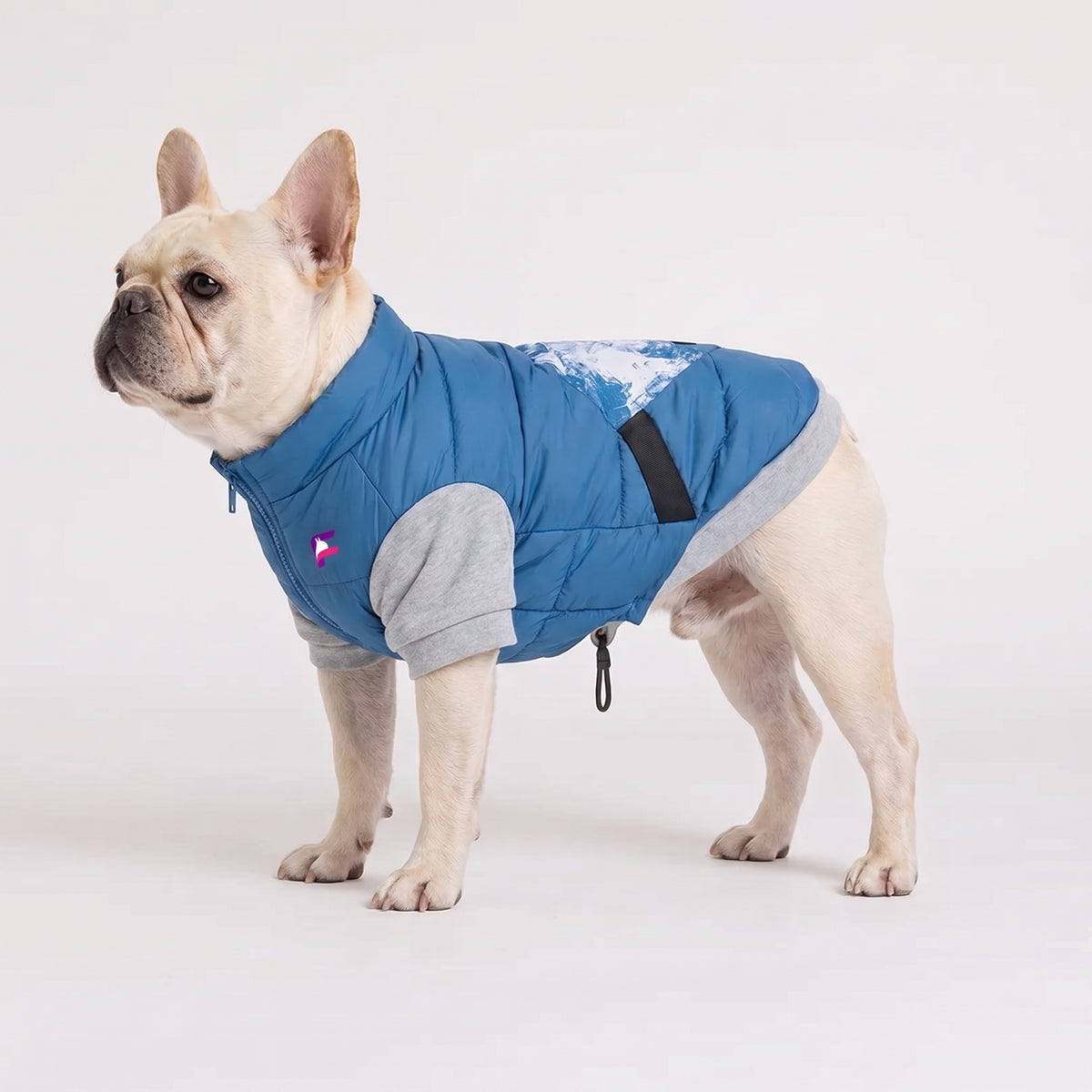 French Bulldog Waterproof Pocket Jacket | Frenchie Utility Coat
