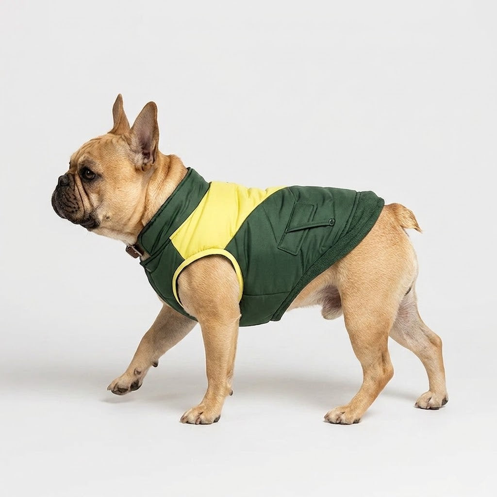 French Bulldog padded coat with a soft inner lining and a pocket detail on the body