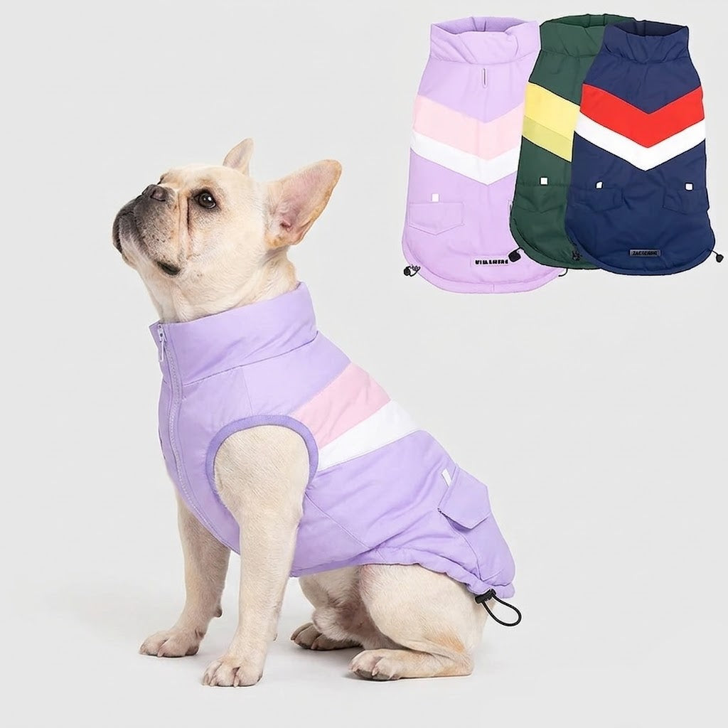 French Bulldog winter coat in sizes S to 3XL, in light purple, dark blue or green