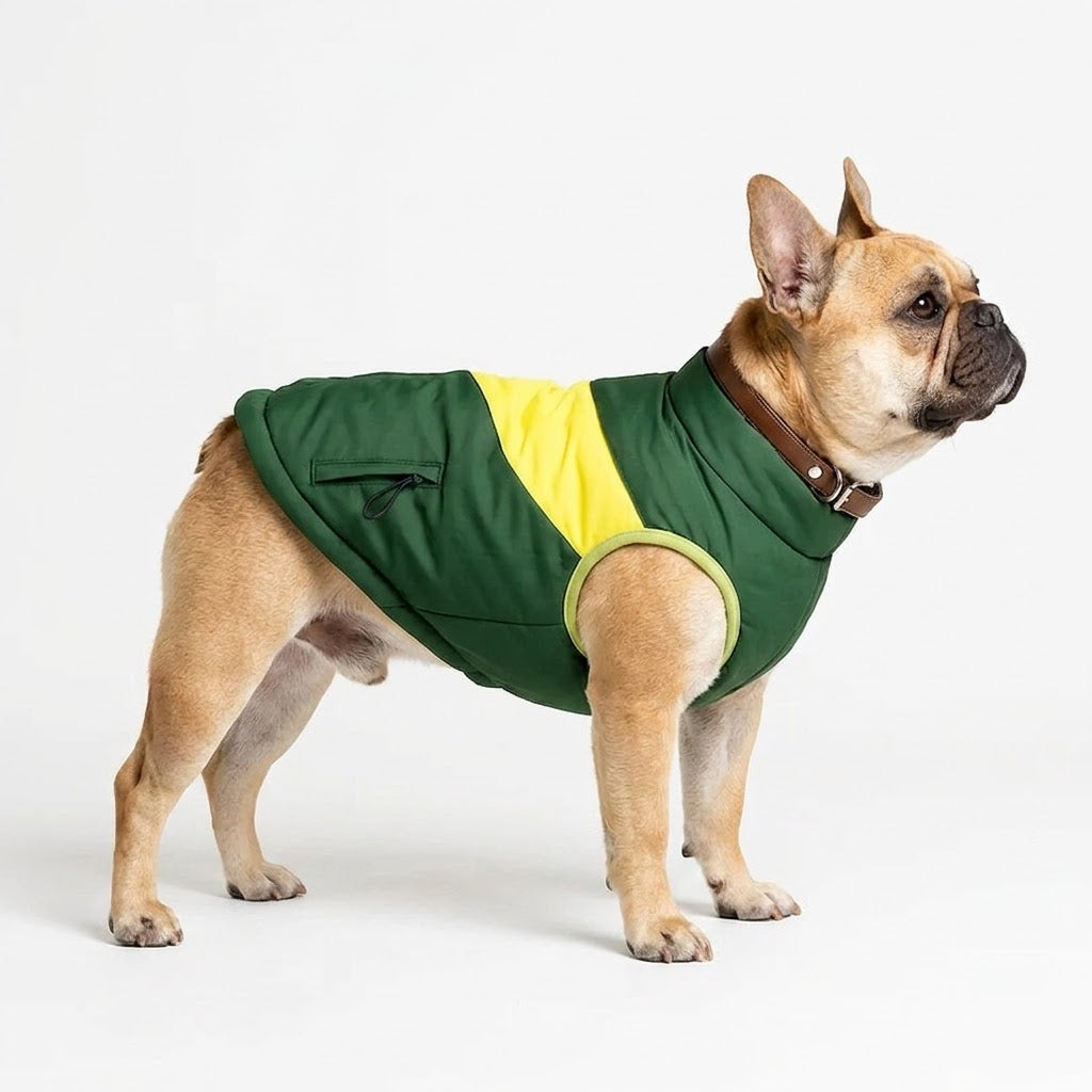 High-neck collar on a French Bulldog winter coat, covering the neck and throat