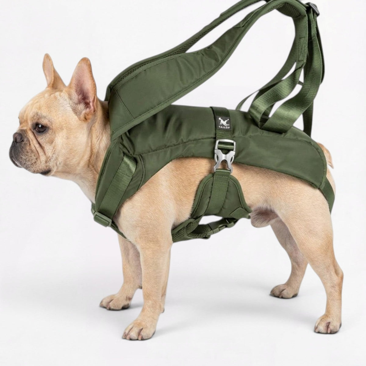French Bulldog carrier backpack with a breathable mesh lining