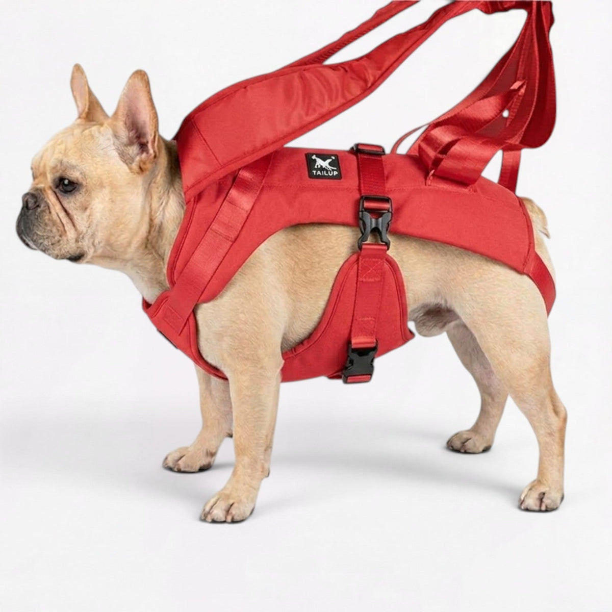 French Bulldog carrier backpack with thickened inner sponge padding