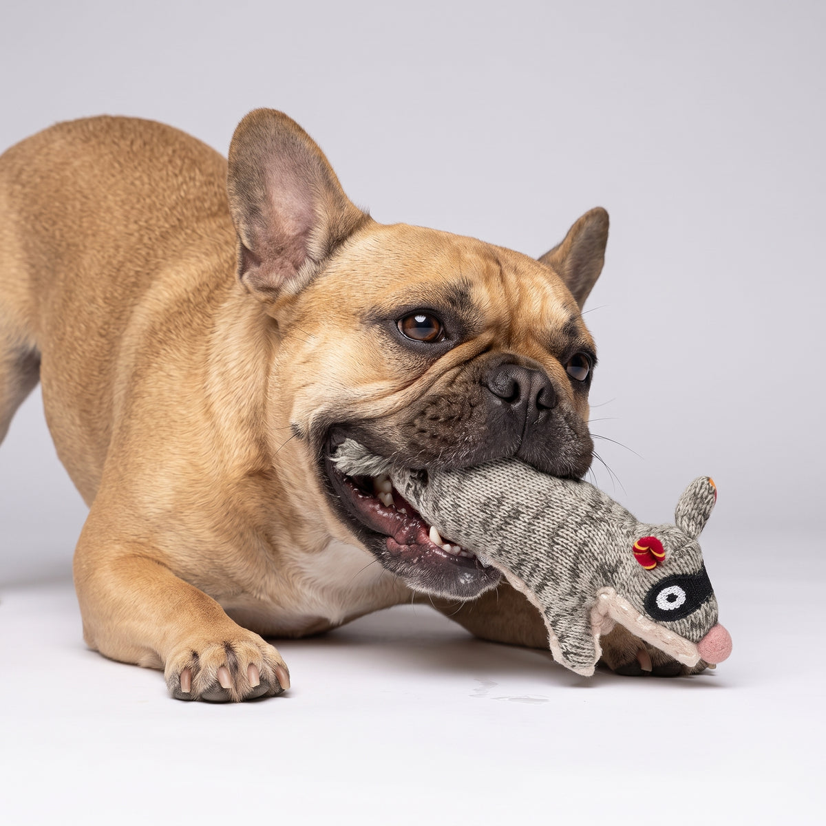 Plush Hunting Squeaky Dog Toy