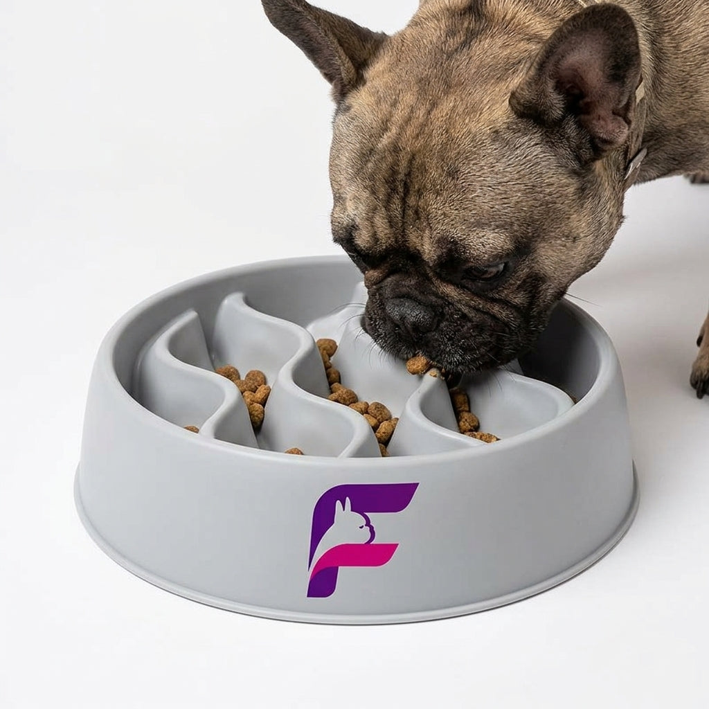 Frenchie-Slow-Feeder-Dog-Bowl.jpg