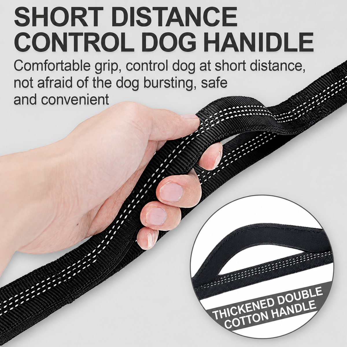 Hands-free French Bulldog leash with a reflective high-visibility strip