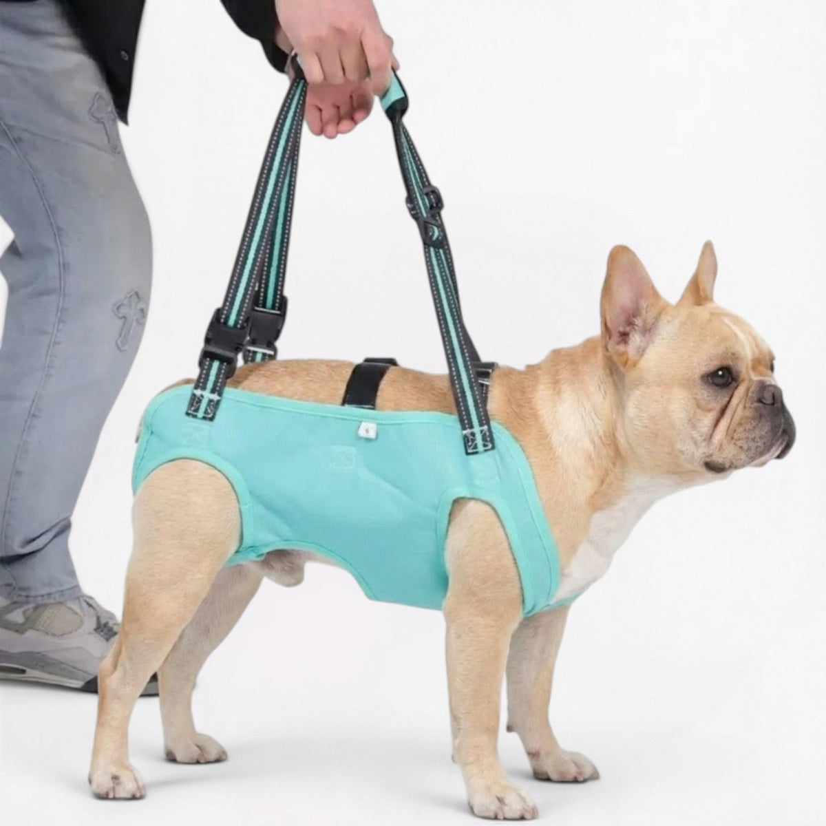 Full-body support harness for French Bulldogs with a padded lift handle