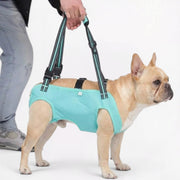 Full-body support harness for French Bulldogs with a padded lift handle