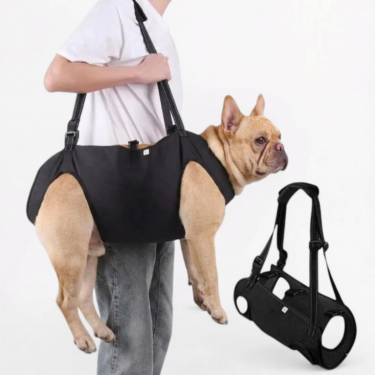 French Bulldog support harness in hard-wearing Oxford cloth