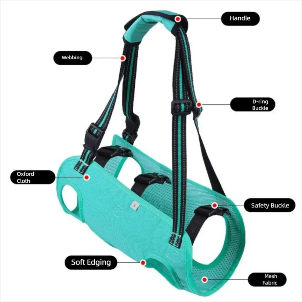 French Bulldog support harness with reflective webbing