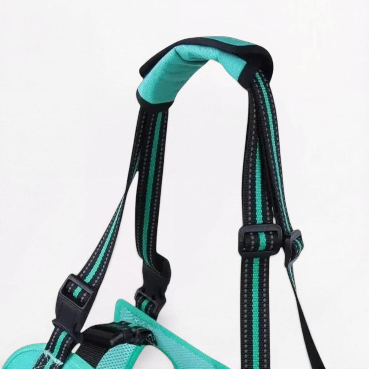 French Bulldog support harness with safety buckles and soft edging