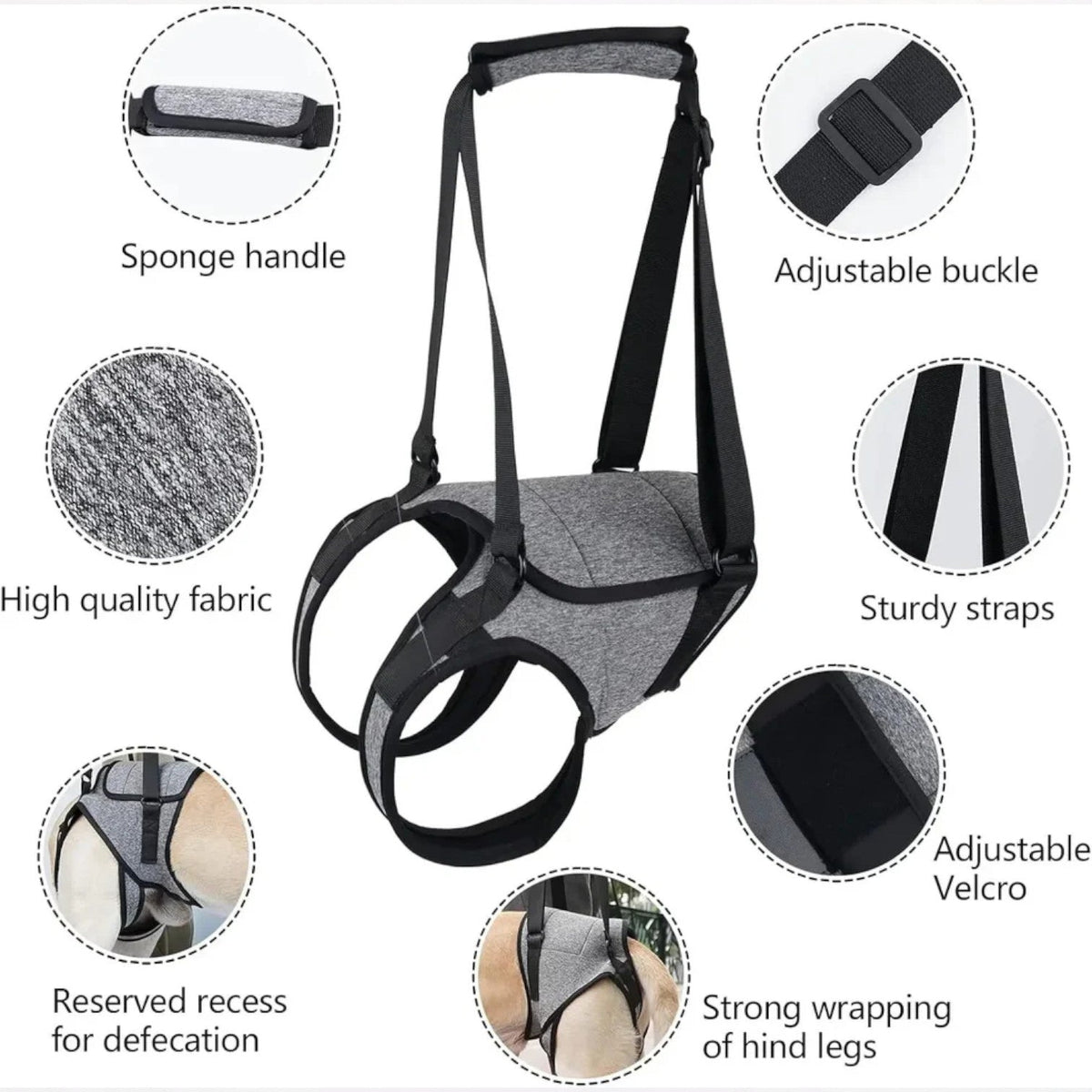 Frenchie rear-leg harness with a reserved rear opening for toilet breaks