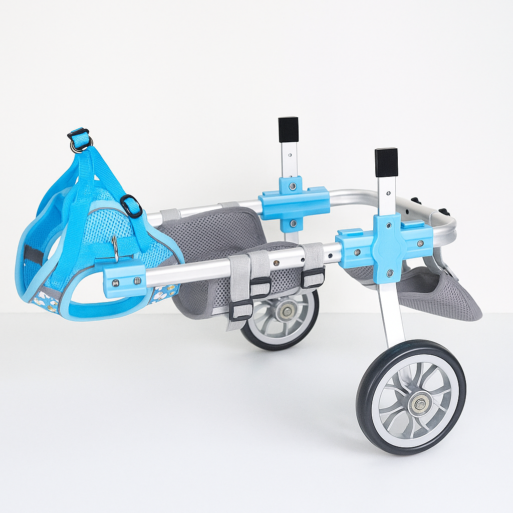 French Bulldog dog wheelchair with wheels that roll on indoor floors as well as pavement and grass