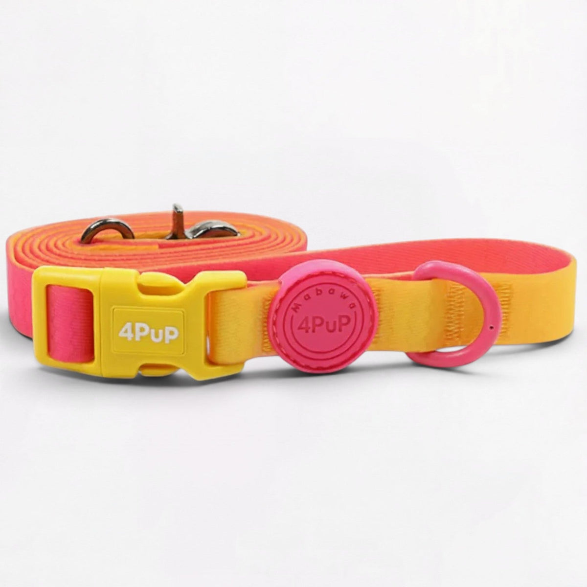 Frenchie collar with a metal D-ring and a heavy-duty swivel hook on the leash