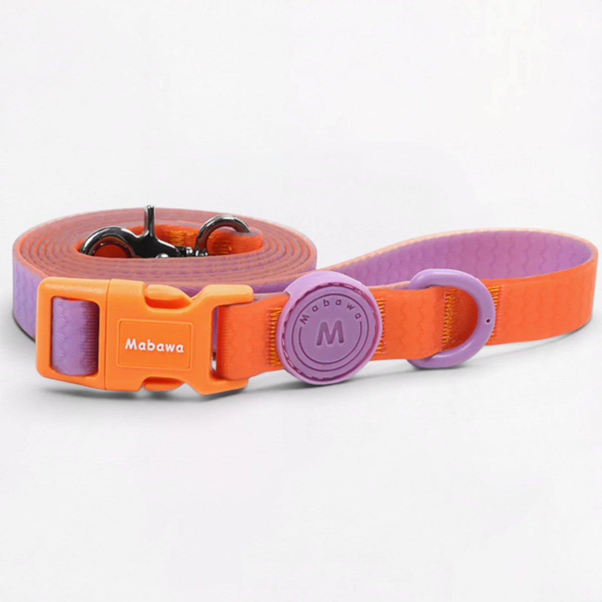 Frenchie leash with a reinforced elastic section that softens a sudden pull