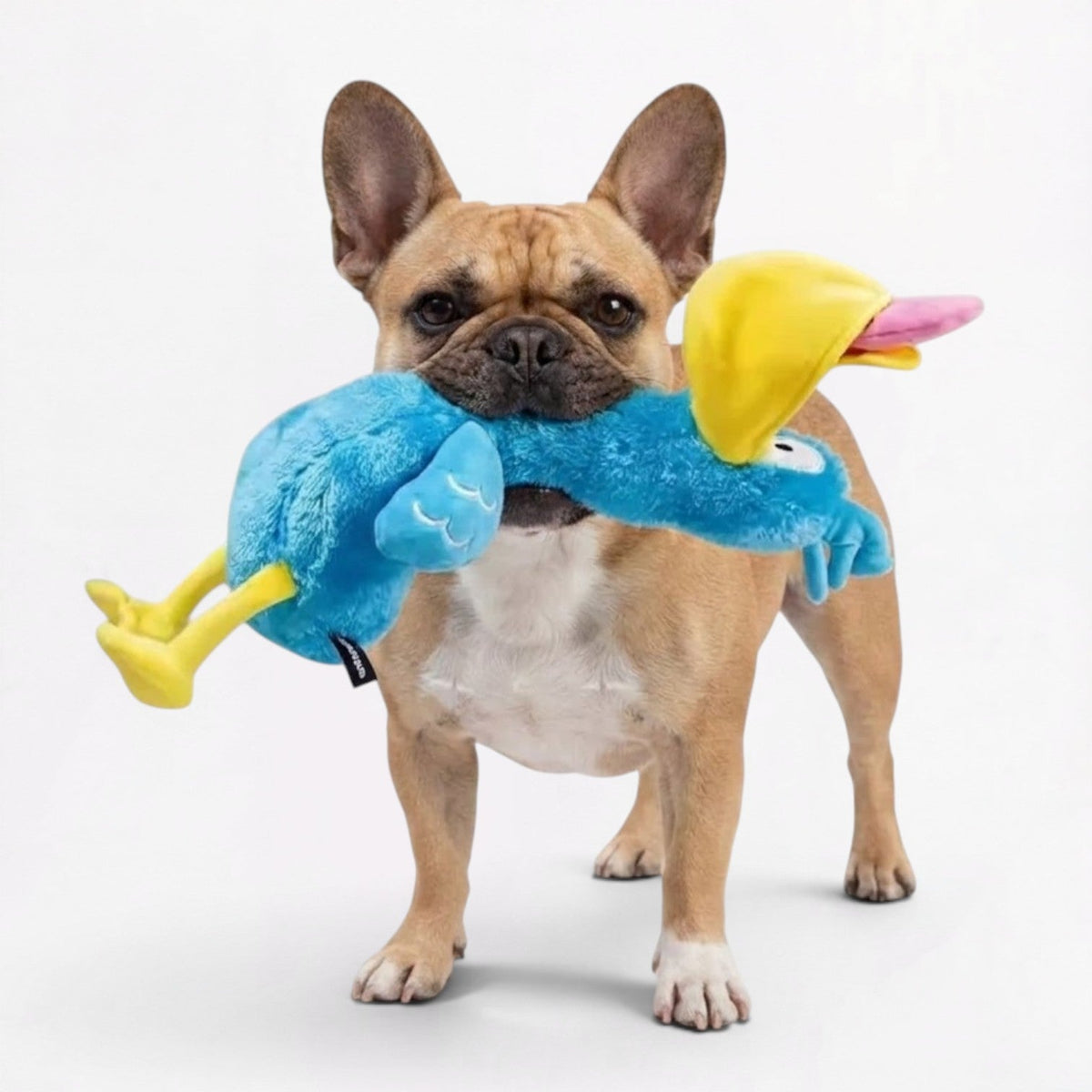 Bird-shaped plush dog toy easy for a Frenchie's short muzzle to grab