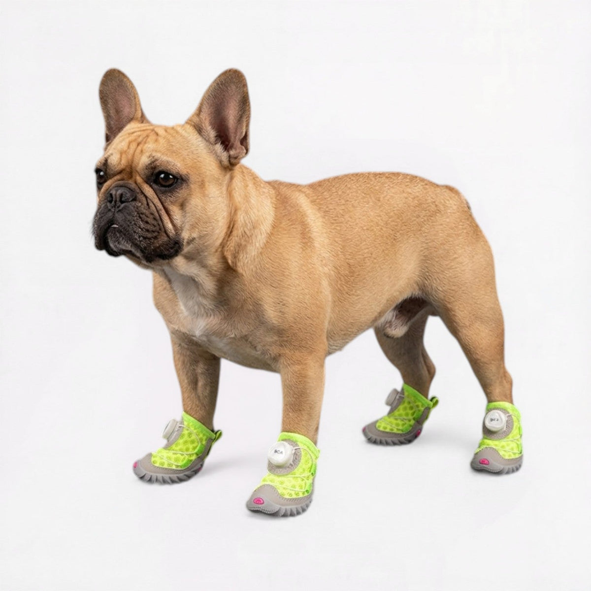 Summer dog shoes for French Bulldogs in Orange