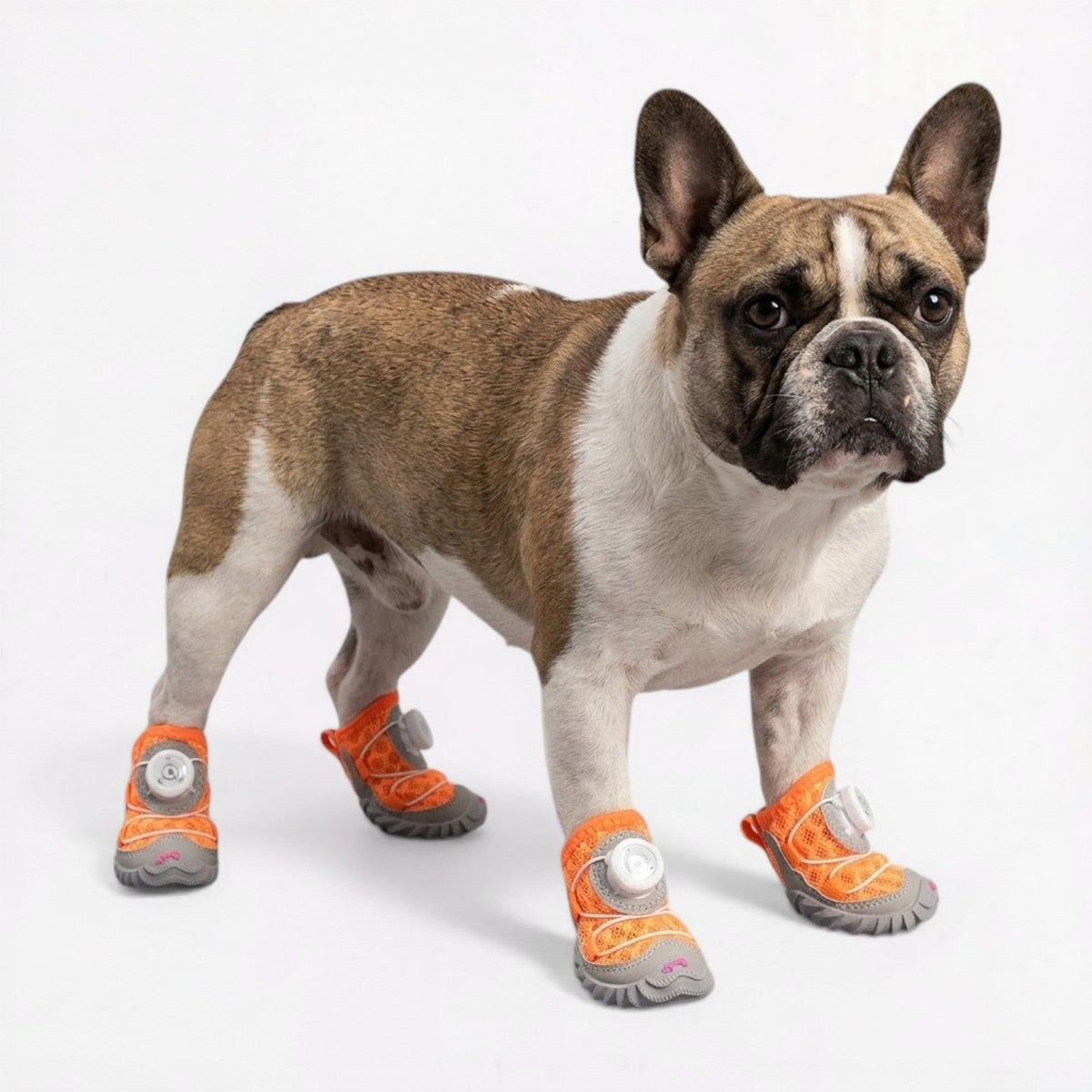 Summer dog shoes for French Bulldogs in Pink