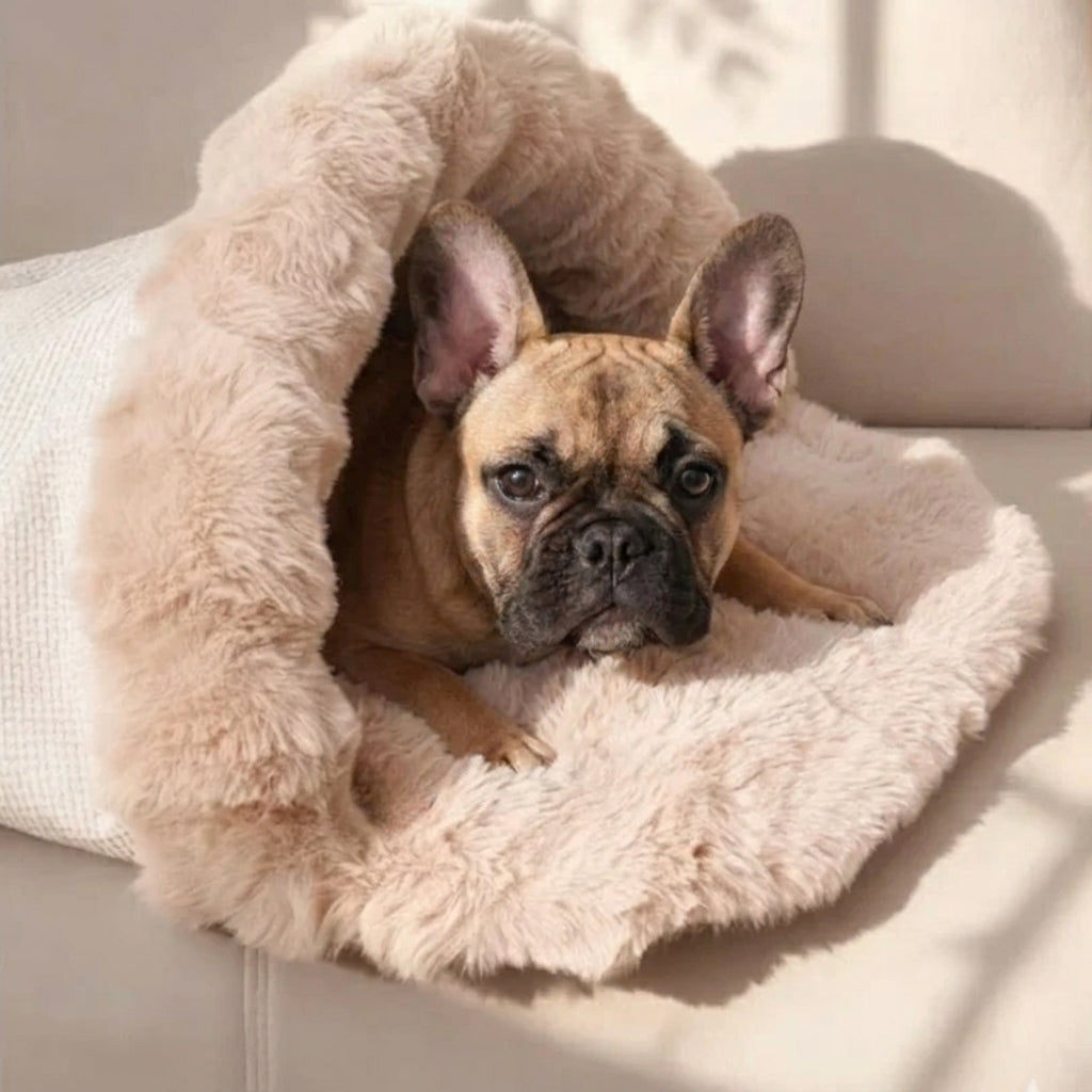 Frenchie-Bubble-Plush-Sleeping-Bed.jpg