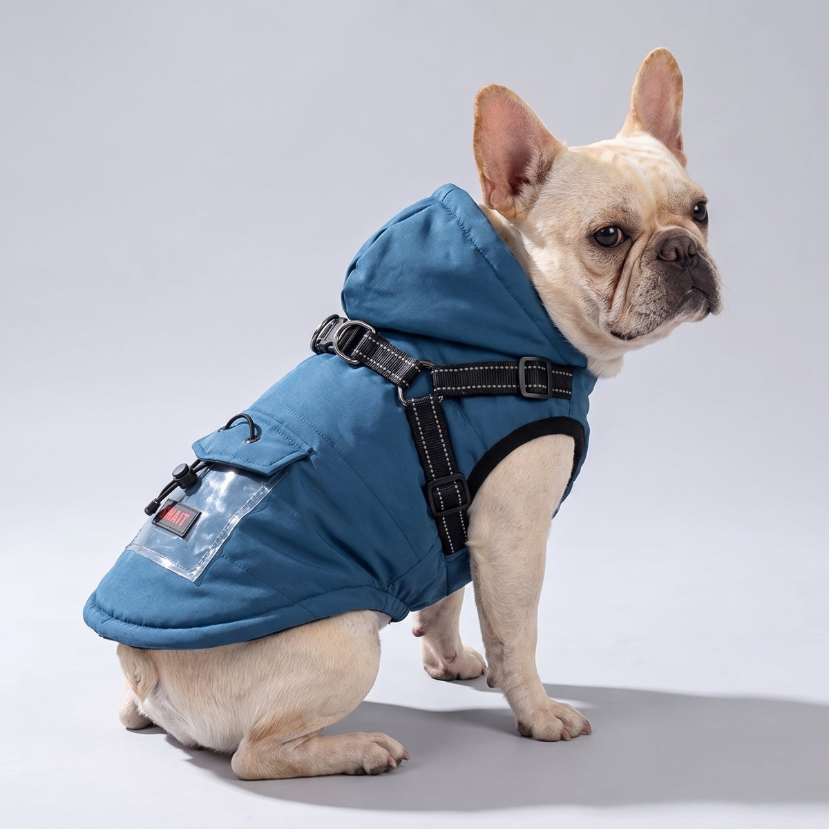 French Bulldog Leash-Integrated Winter Jacket | Frenchie Built-In Harness Coat