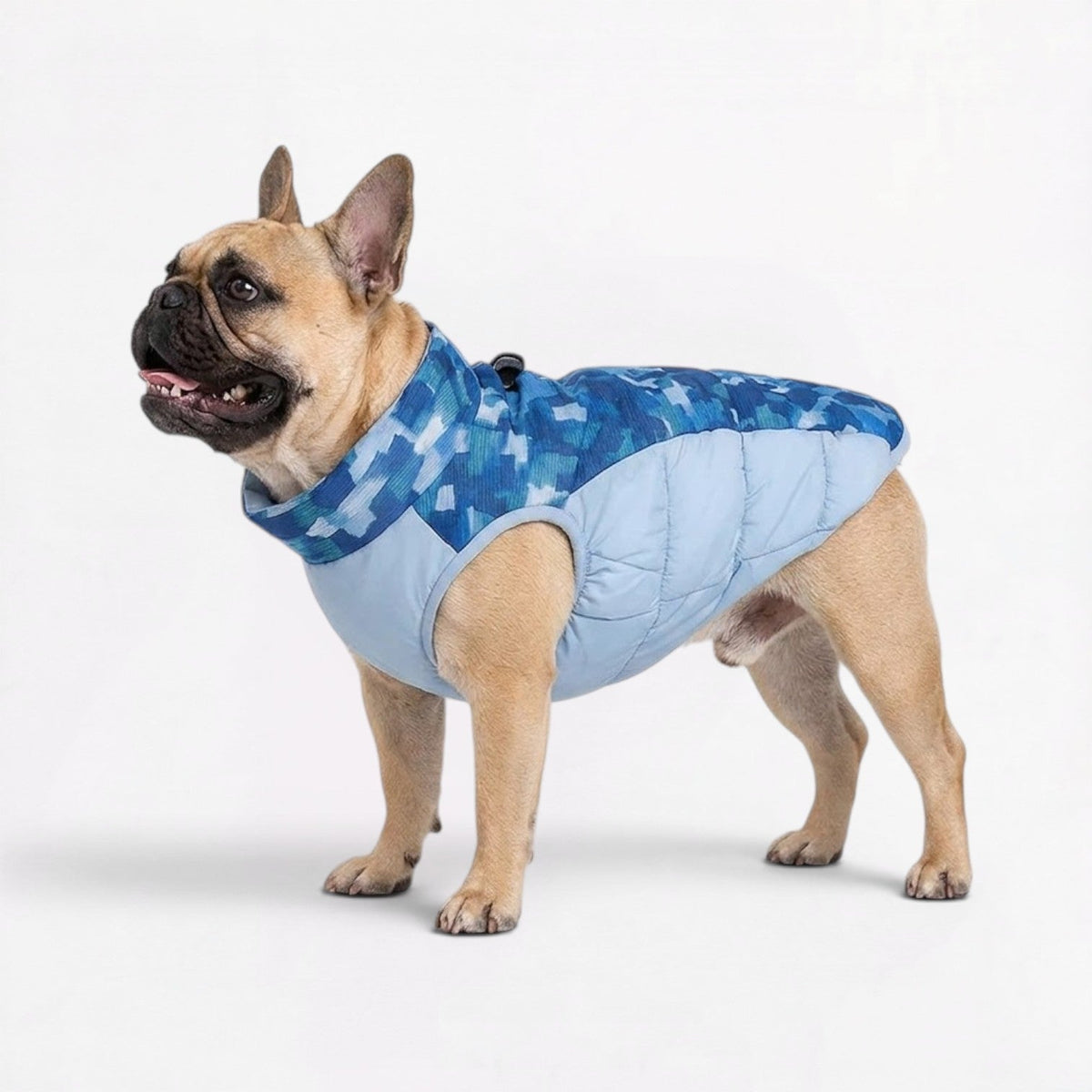 Camouflage print dog jacket for French Bulldogs with a front zip closure