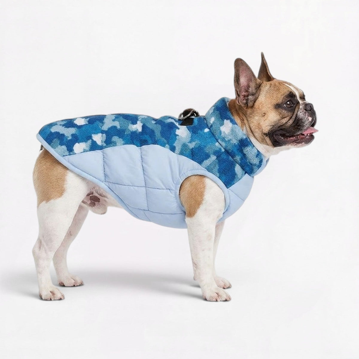 Frenchie camo winter jacket in Blue with cotton padding for warmth