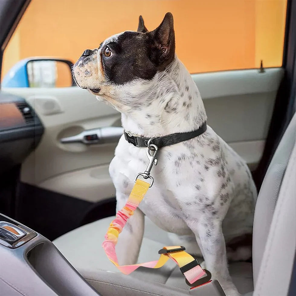 Frenchie car seat belt in tie-dye blue and pink, pink and yellow, green and purple