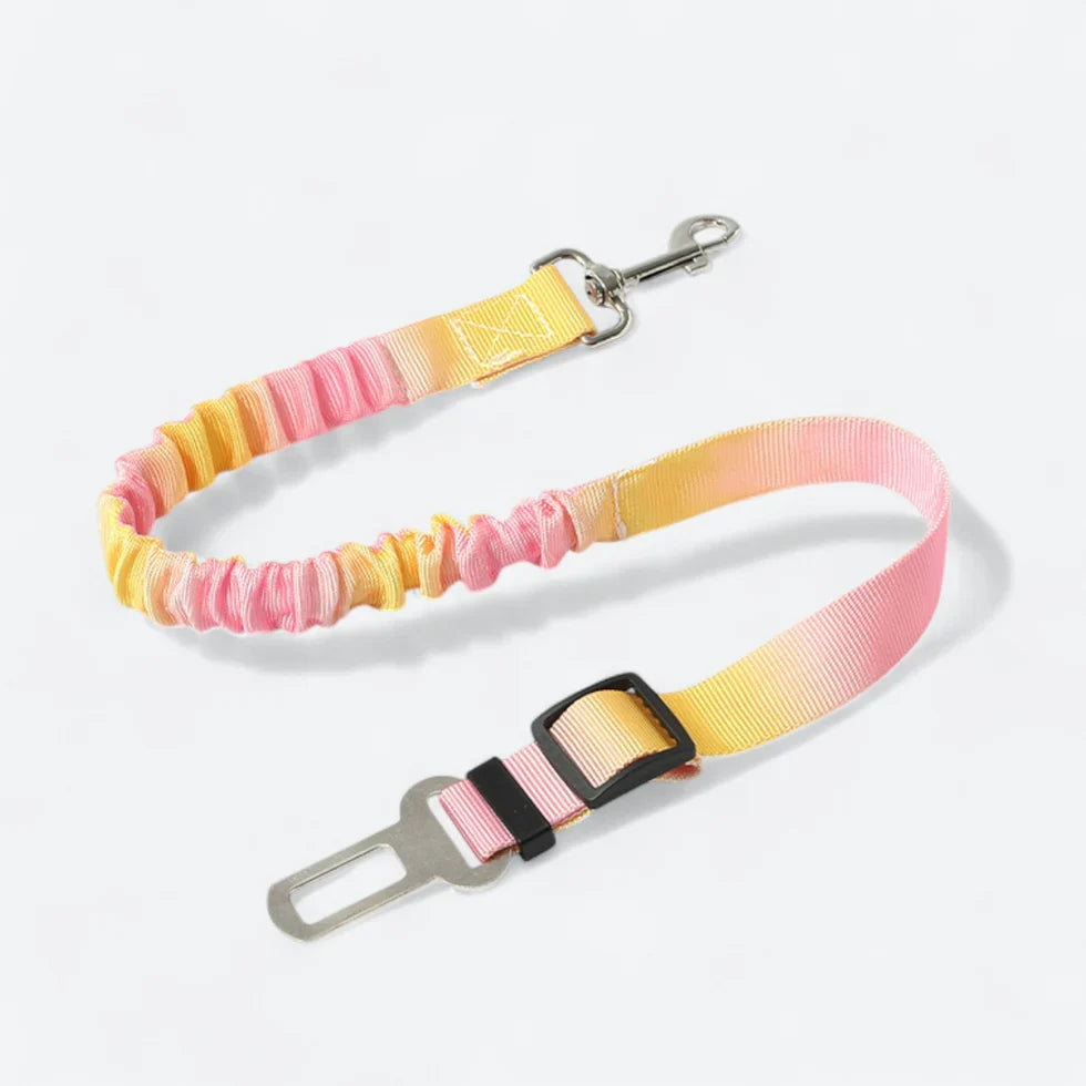 Frenchie car safety tether with an elastic bungee section