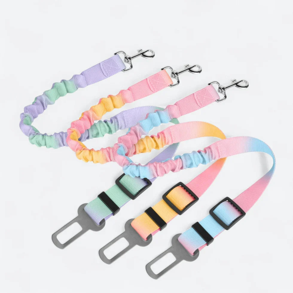Adjustable-length car restraint tether for Frenchies