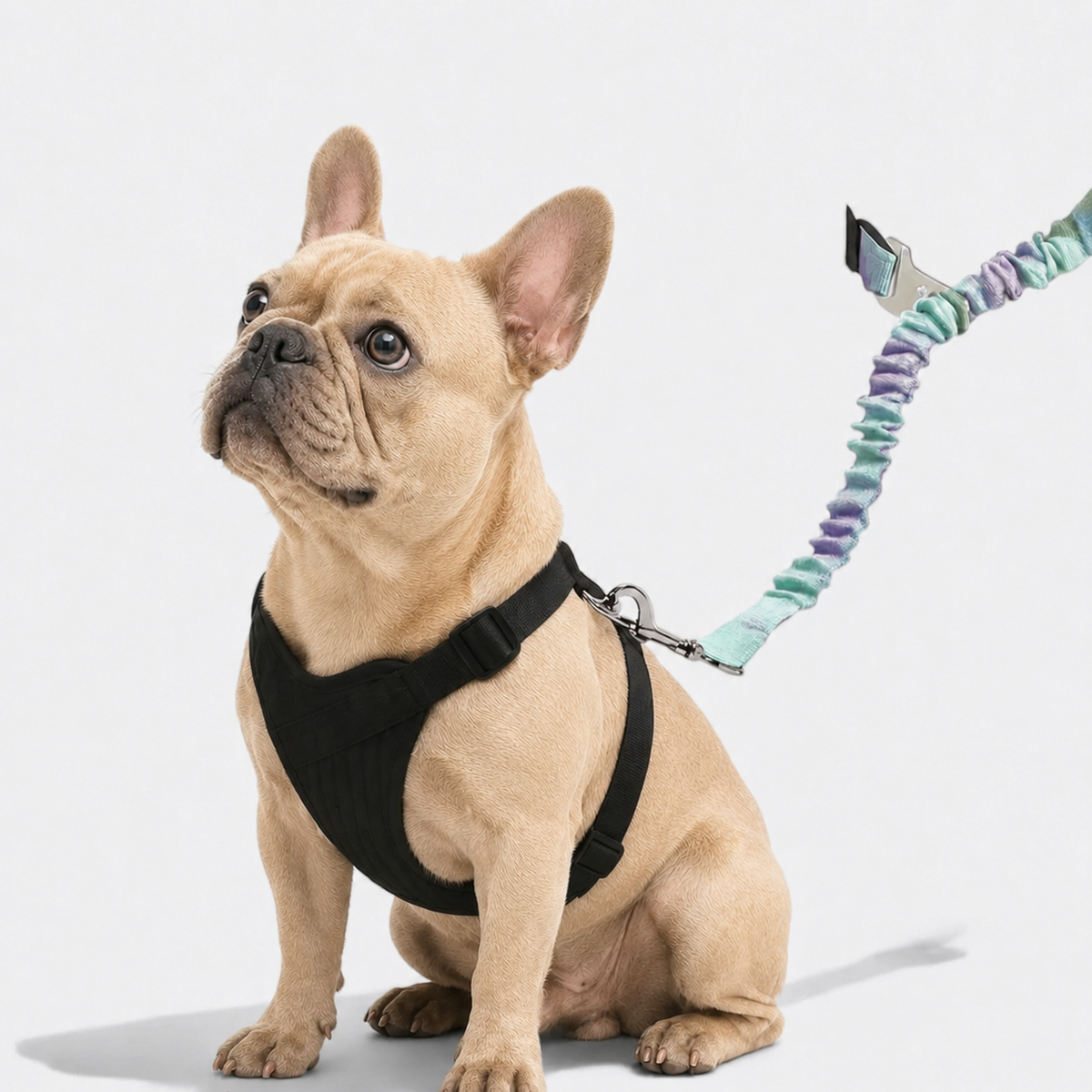 Car seat belt tether for Frenchies that fits standard seat belt buckle slots