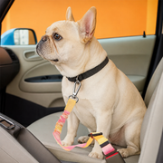 Adjustable bungee car seat belt tether for Frenchies in woven nylon