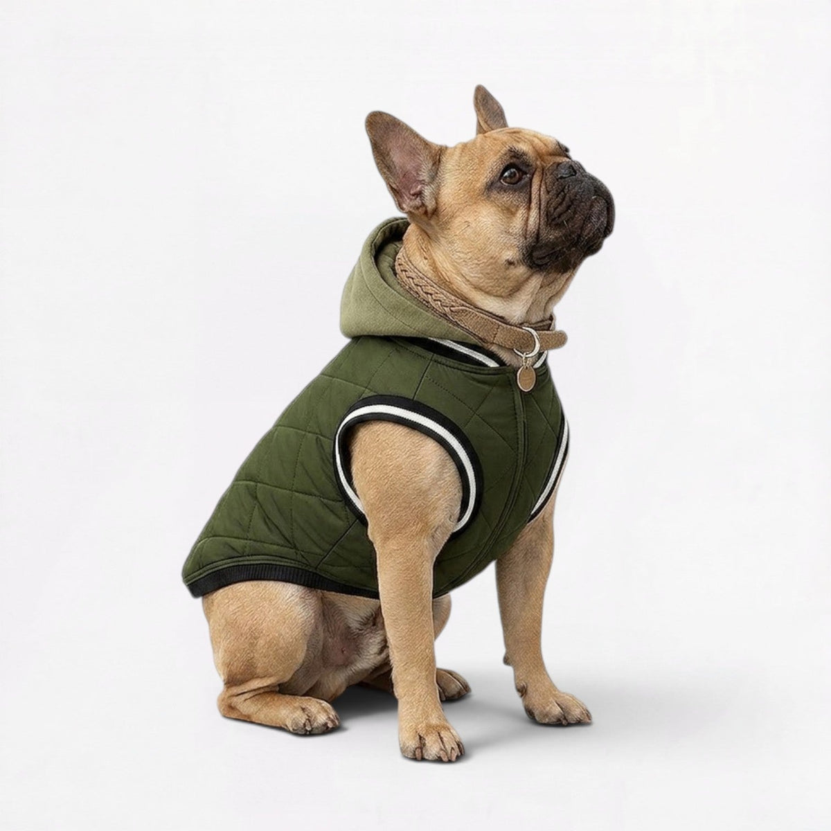 Warm but breathable French Bulldog winter jacket for cold-weather walks