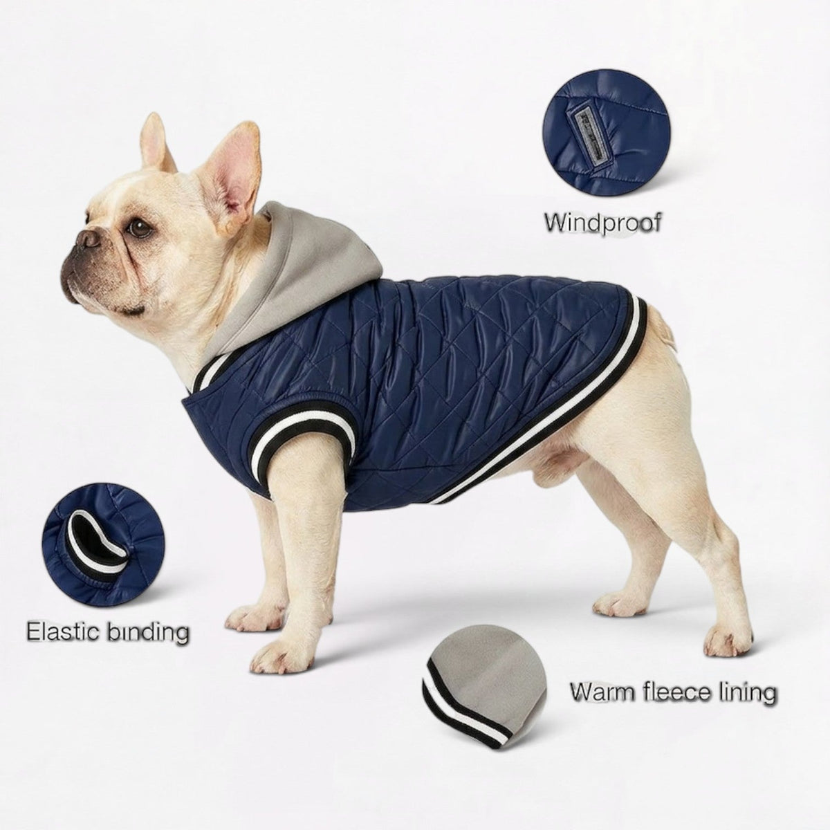 French Bulldog quilted winter jacket with a soft fleece interior
