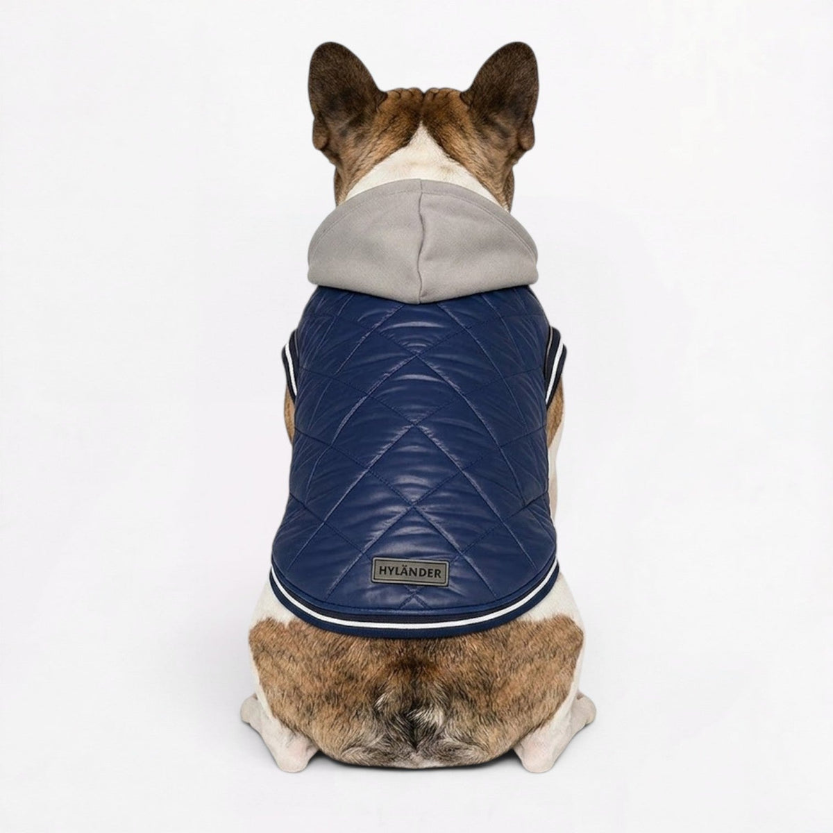 French Bulldog quilted jacket that leaves a short-legged dog free to move