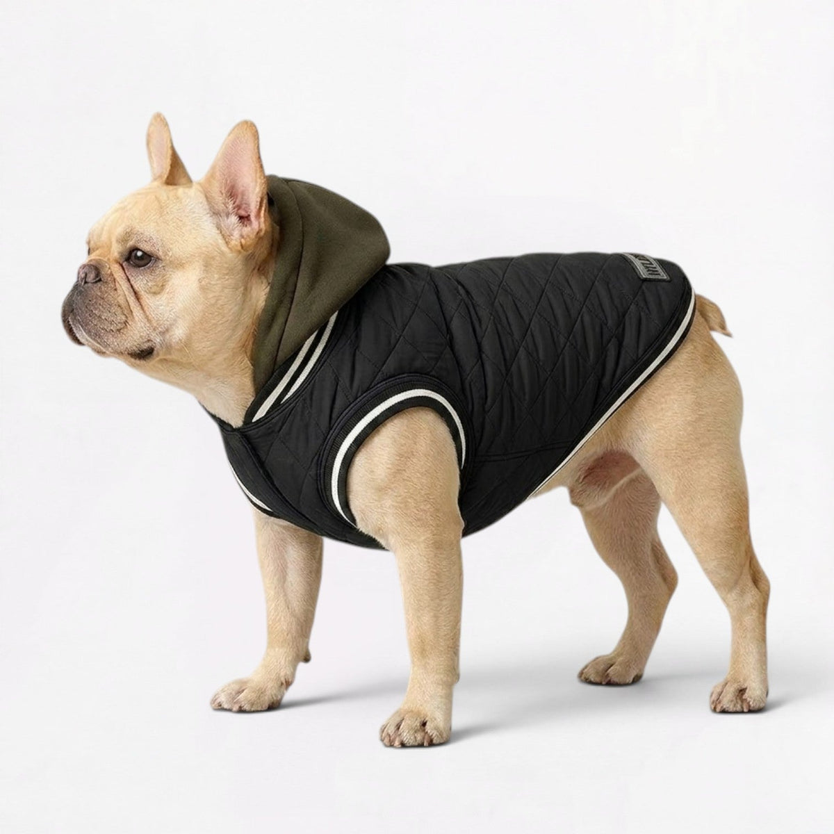 Fleece-lined French Bulldog jacket with a built-in hood covering the head and ears