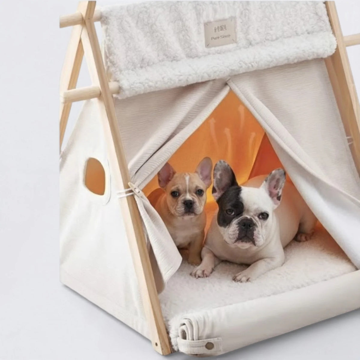 Frenchie-Convertible-Foldable-Dog-Bed.jpg