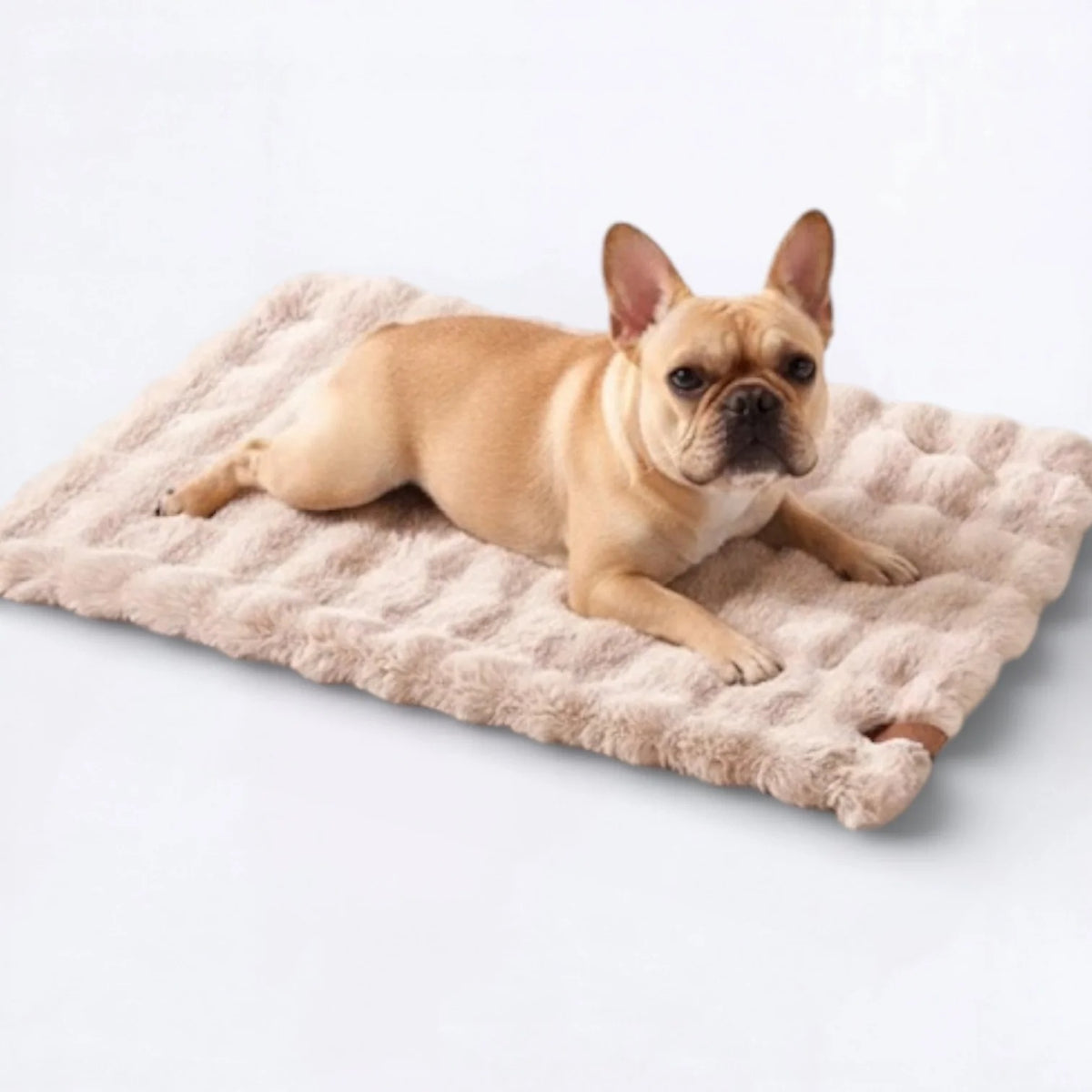 Frenchie-Double-Sided-Sleeping-Bed.jpg