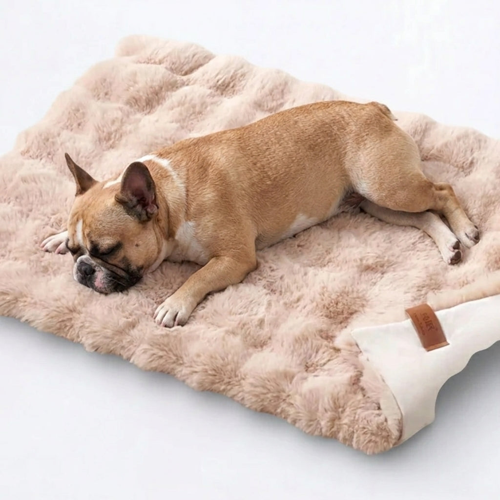Frenchie-Double-Sided-Sleeping-Bed.jpg
