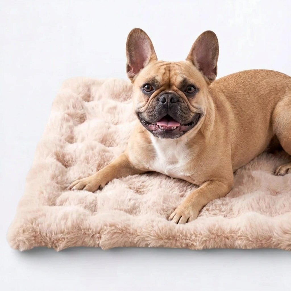 Frenchie-Double-Sided-Sleeping-Bed.jpg