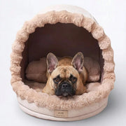 Frenchie-Enclosed-Cozy-Dog-Bed.jpg