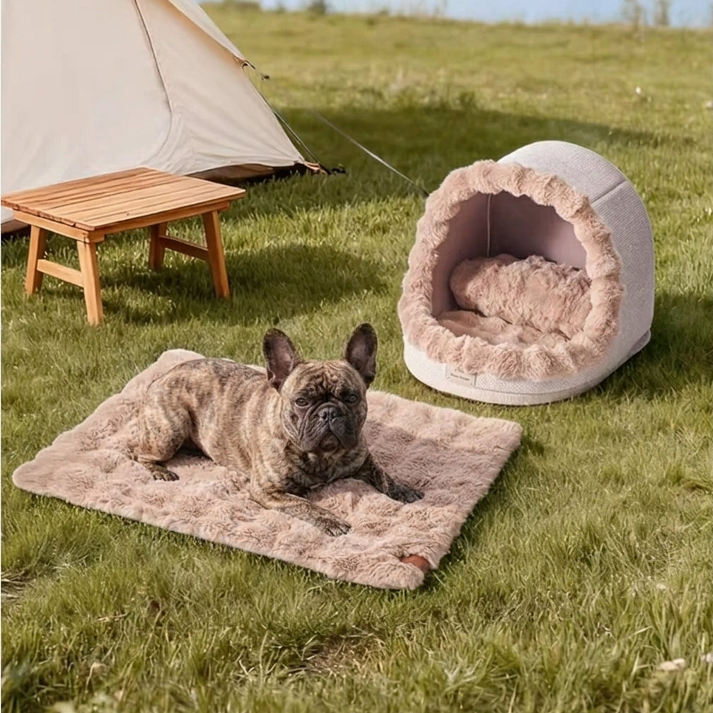 Frenchie-Enclosed-Cozy-Dog-Bed.jpg
