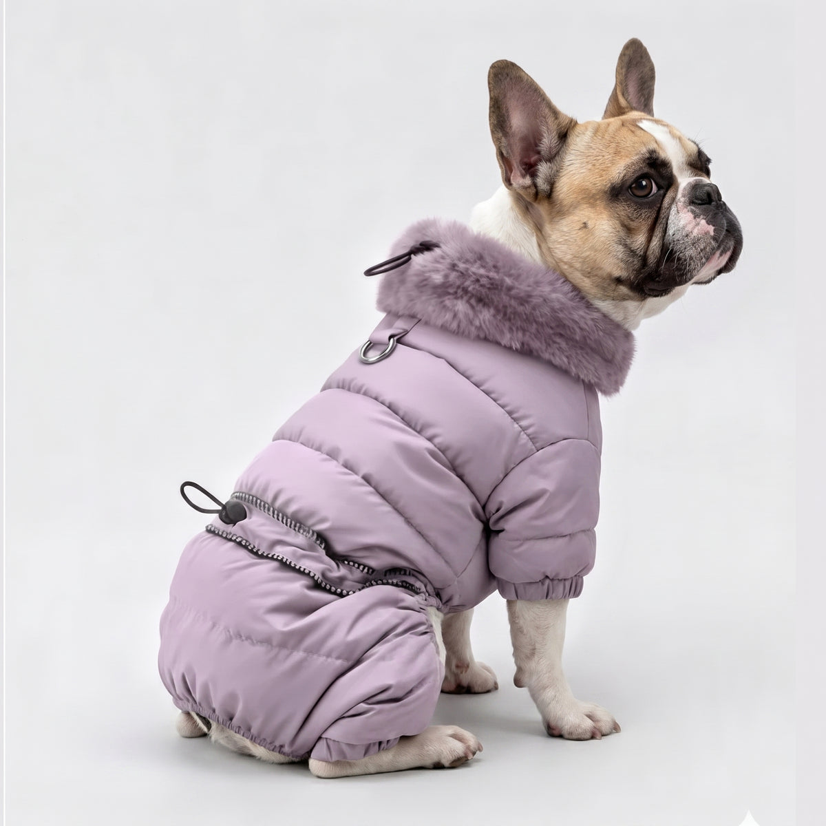 French Bulldog Fleece-Lined Winter Jacket | Frenchie Faux-Fur Collar Coat