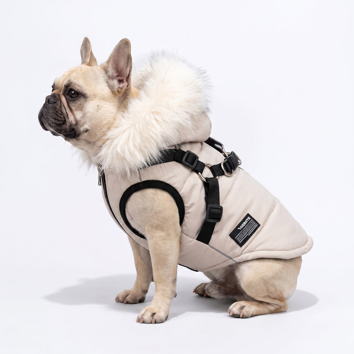 Frenchie-Faux-Fur-Hood-Coat.jpg