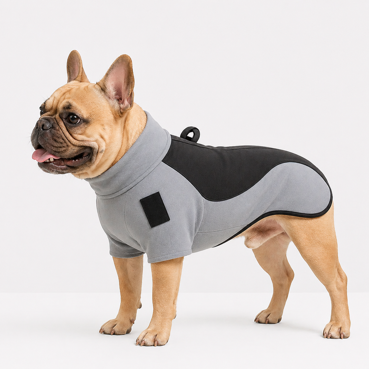 Fleece-lined turtleneck French Bulldog jacket with a built-in leash attachment