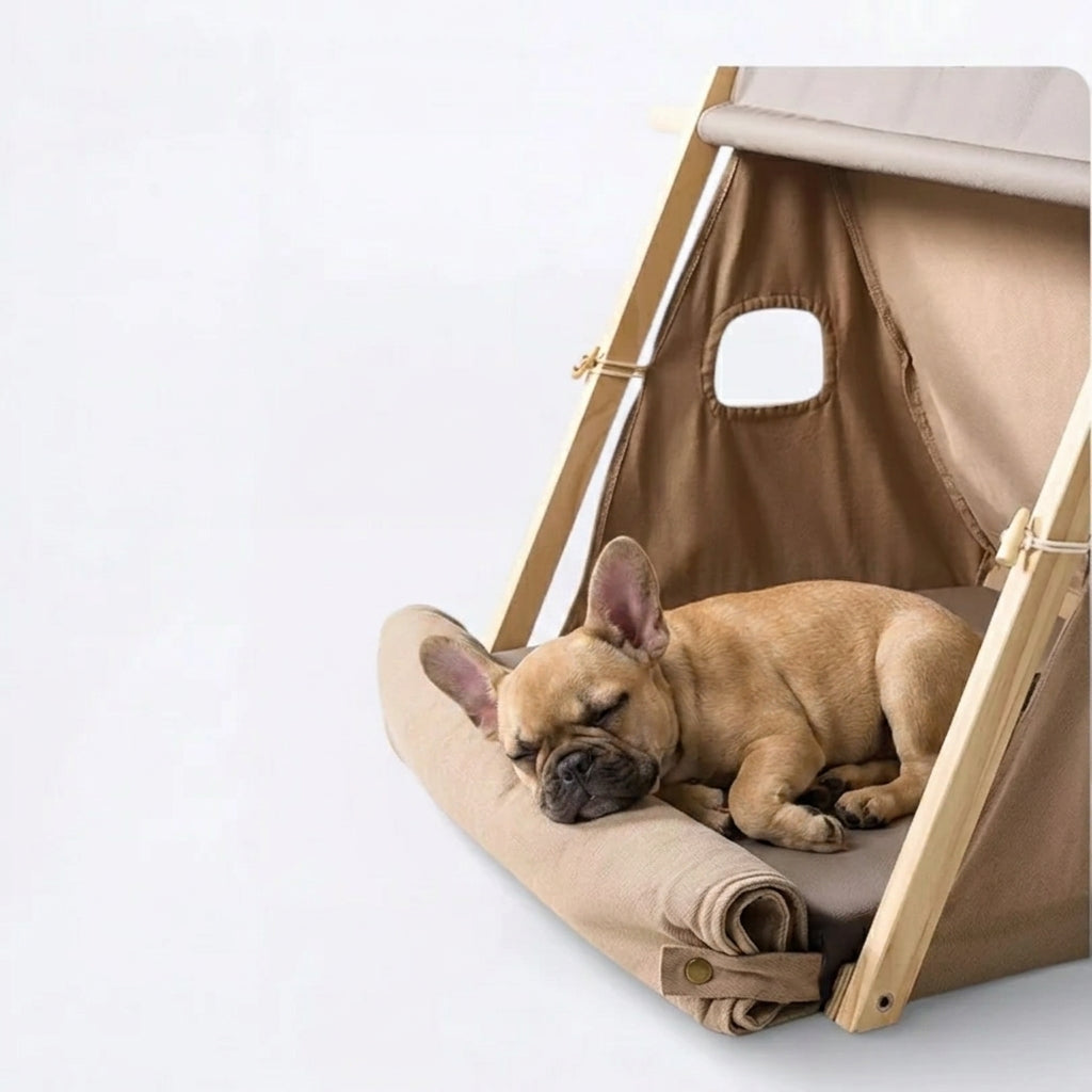 Frenchie-Foldable-Dog-Tent.jpg